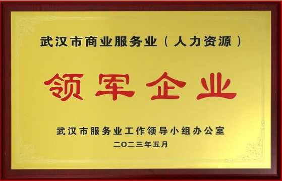 喜报丨热烈祝贺HY豪运国际(中国区)官方网站荣获武汉市服务业领军企业称号